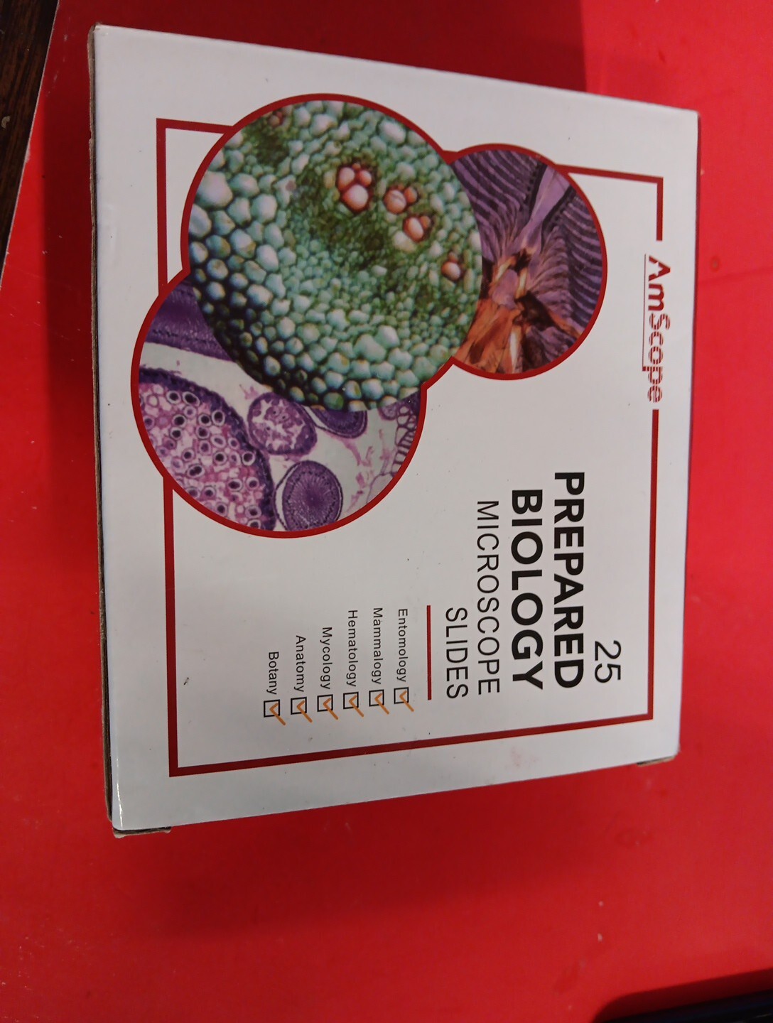 AmScope 25 Prepared Biology Microscope Slides NEW Open Box Etymology Hematology