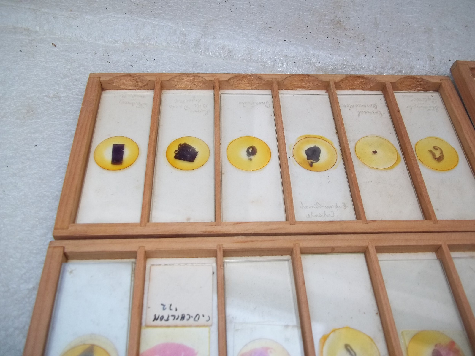 Vintage Glass Microscope Slides