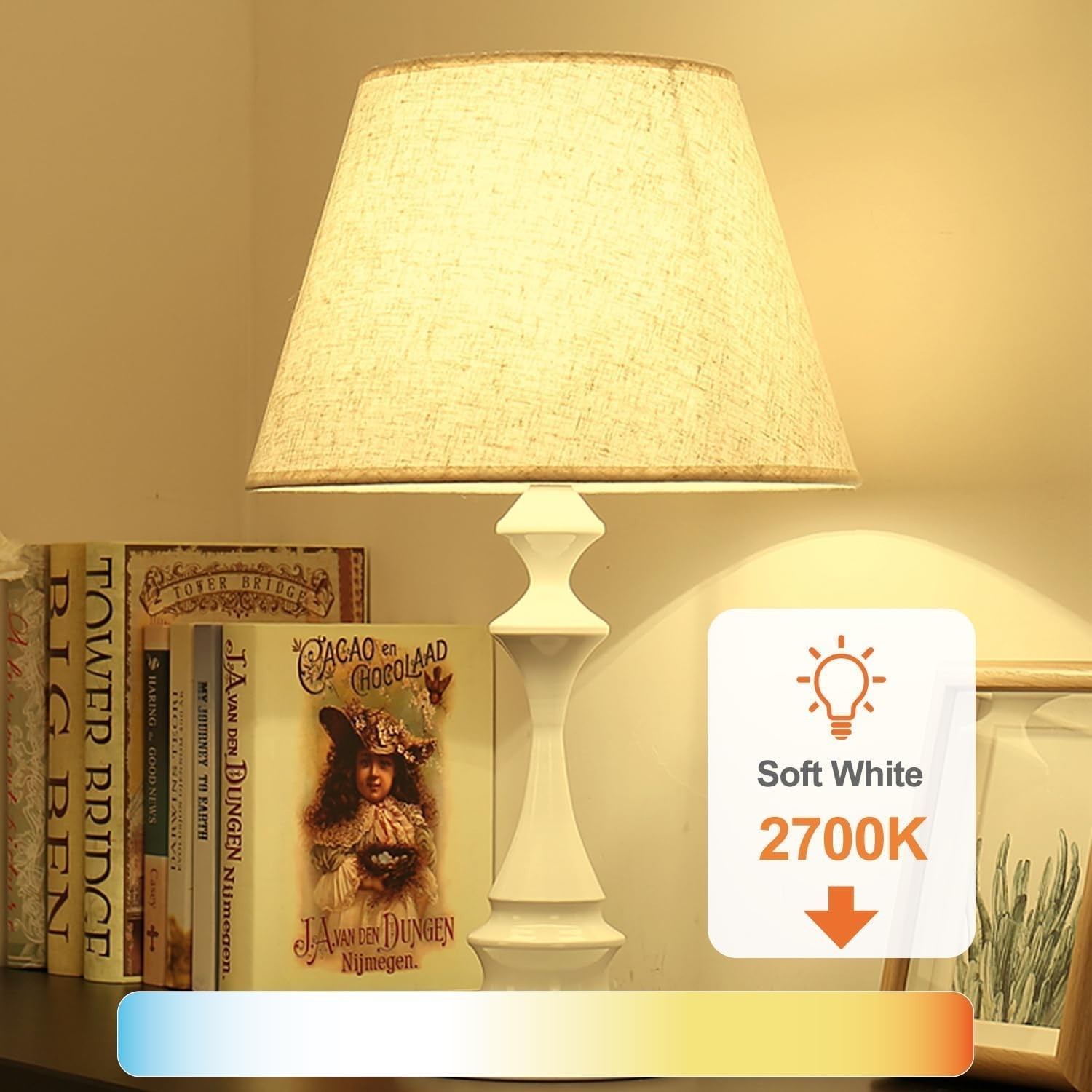 12 Pack A19 LED Light Bulbs 9W Equivalent 60W No-Dimmable Daylight 5000K E26