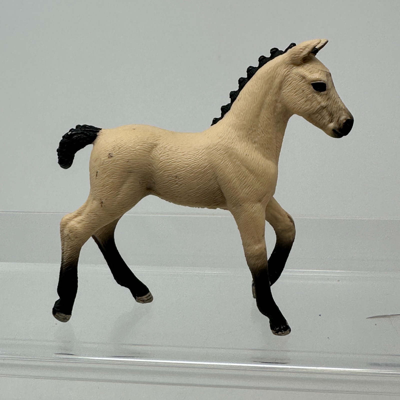 Schleich Hanoverian Foal Baby Horse Wildlife Animal Figure Toy Figurine 2016 3"