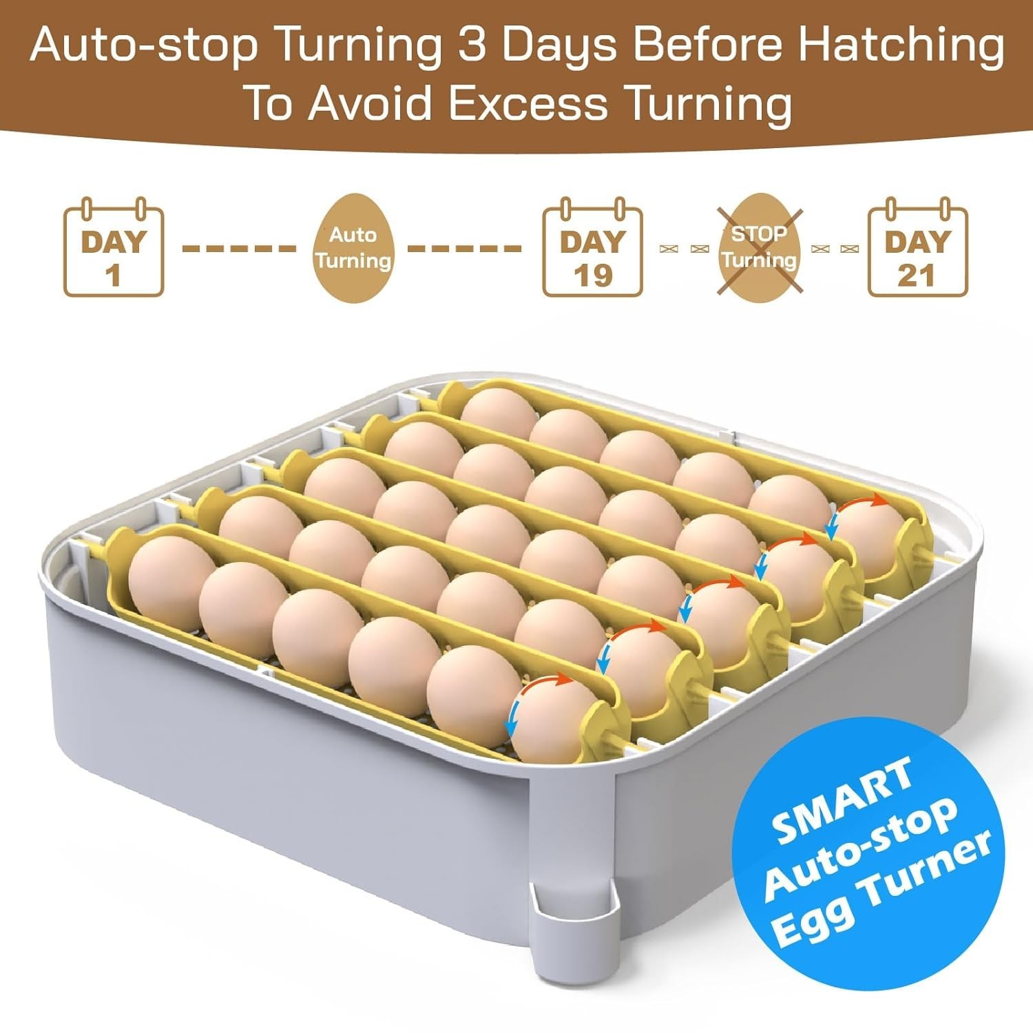 30-Egg Incubator with Humidity Display & Automatic Egg Turner for Hatching