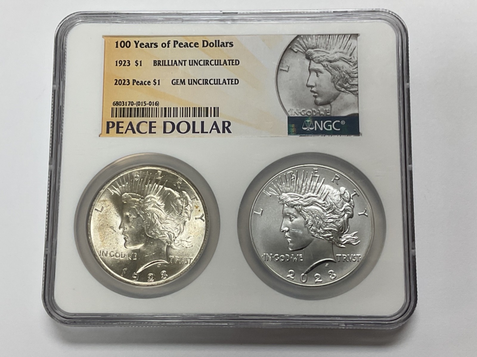 NGC 100 YEARS OF PEACE DOLLARS GEM & BRILLIANT UNCIRCULATED $1 COINS BUY IT NOW!