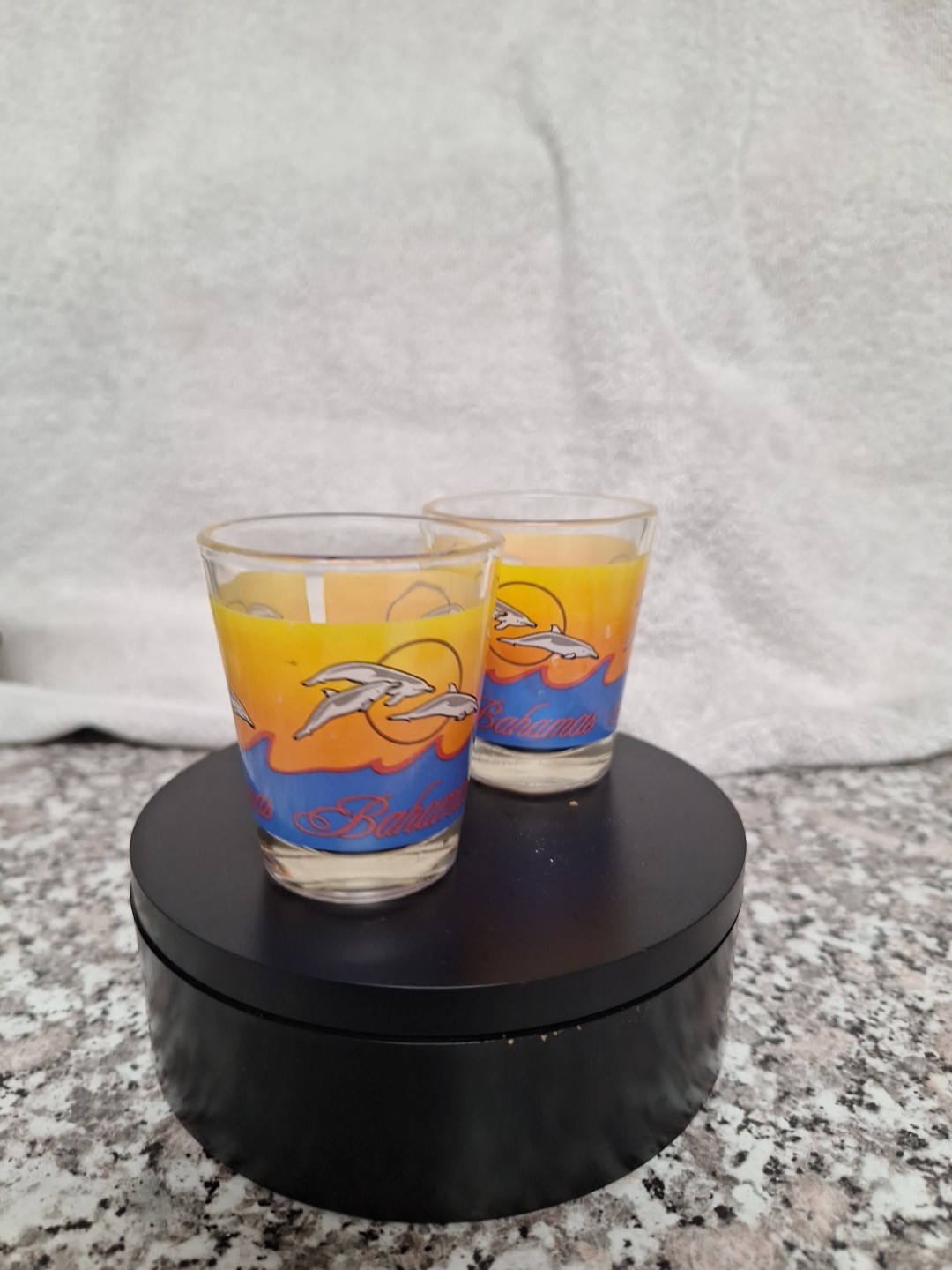 (2) Bahamas Shot Glasses Wih Dolphins And Waves