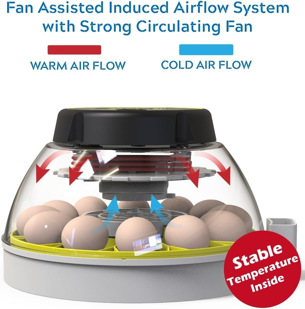 12 Egg Incubator with Humidity Display, Egg Candler, Automatic Egg Turner, fo...
