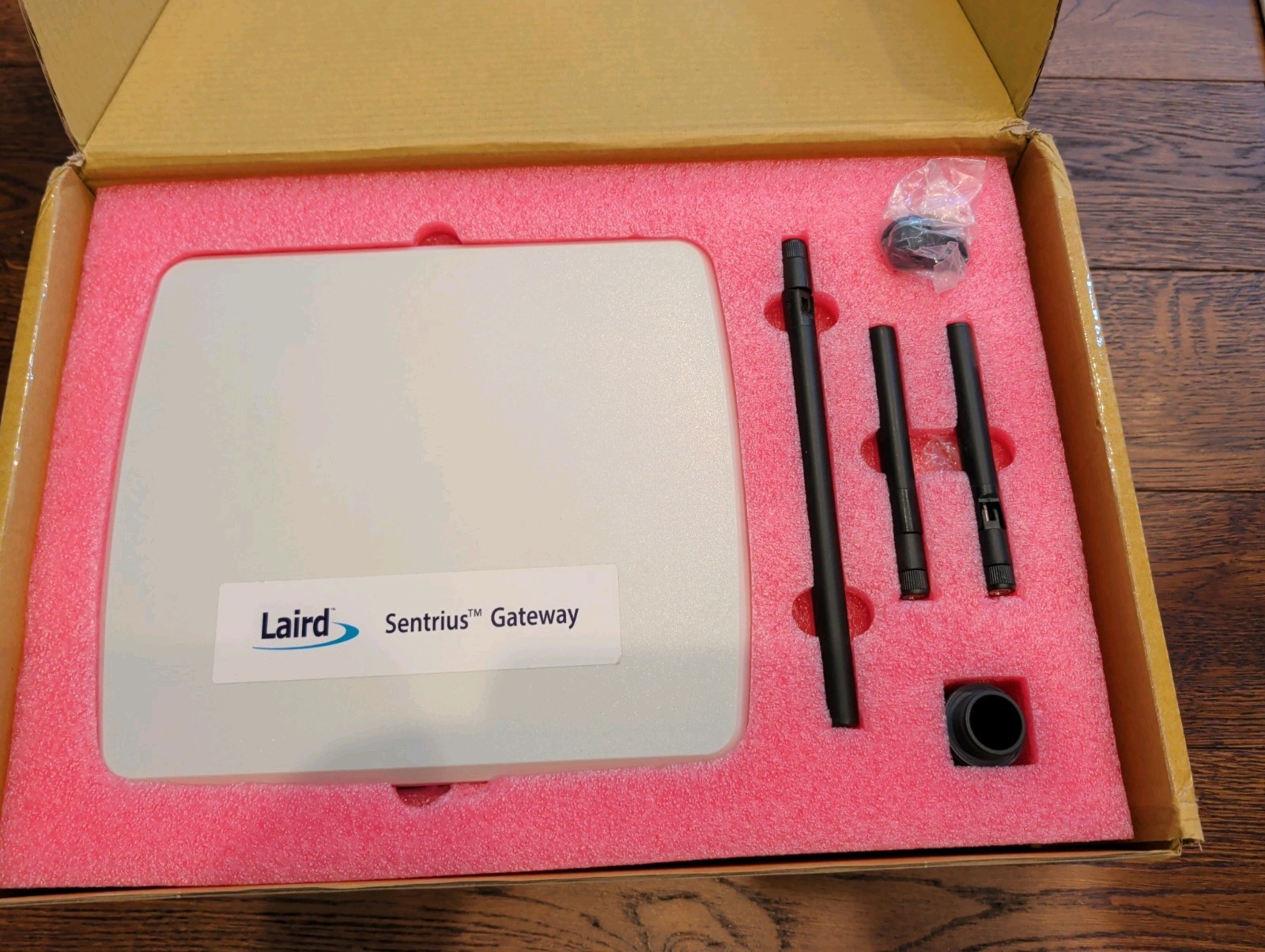 Laird RG191 LoRaWAN Gateway