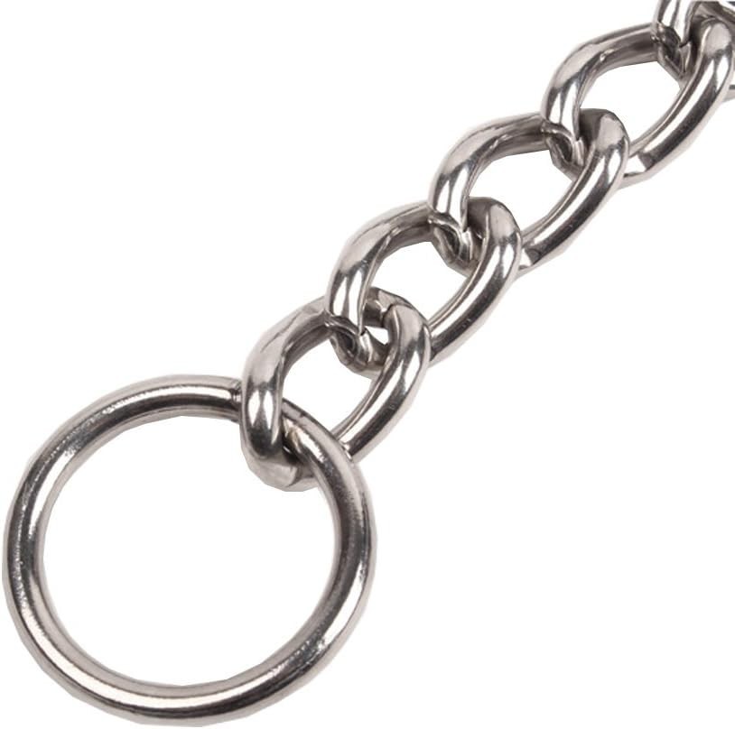 Chain Dog Training Choke Collar, 26 in, 4 mm