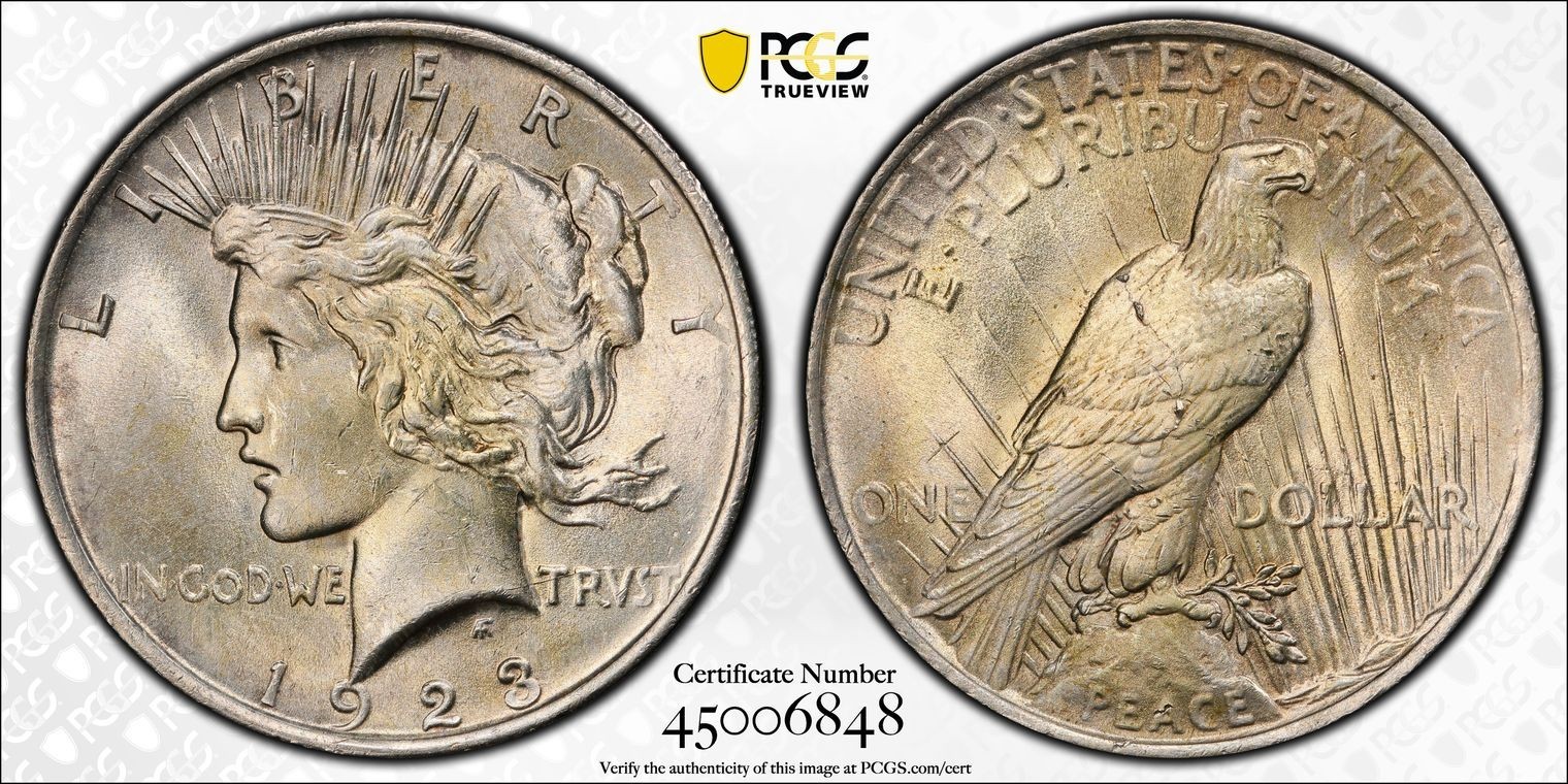 1923 PCGS MS 63 VAM 1E Broken Wing Toned