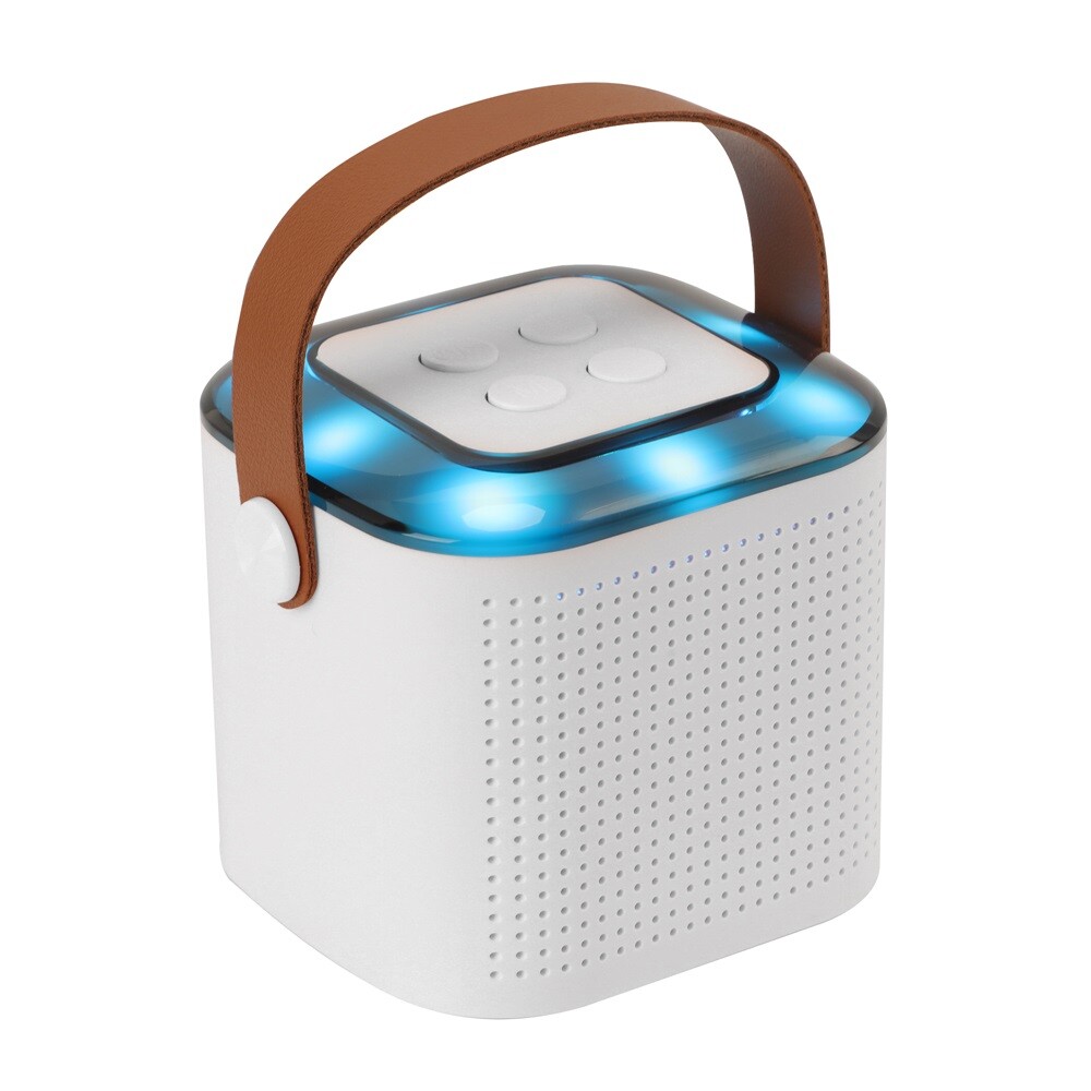 Portable White Bluetooth Karaoke Speaker Machine Kids Mics