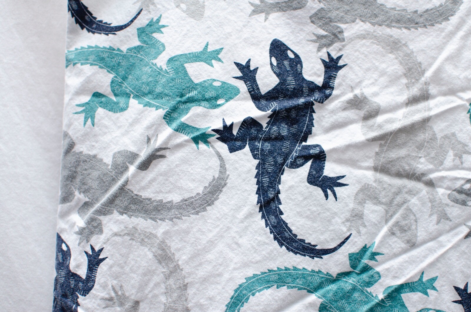 Pottery Barn Kids Lizard Design Std Pillowcase 100% Cotton