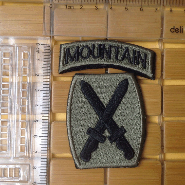 USA 10TH MOUNTAIN DIVISION U.S ARMY Embroidered Hook & Loop PATCH