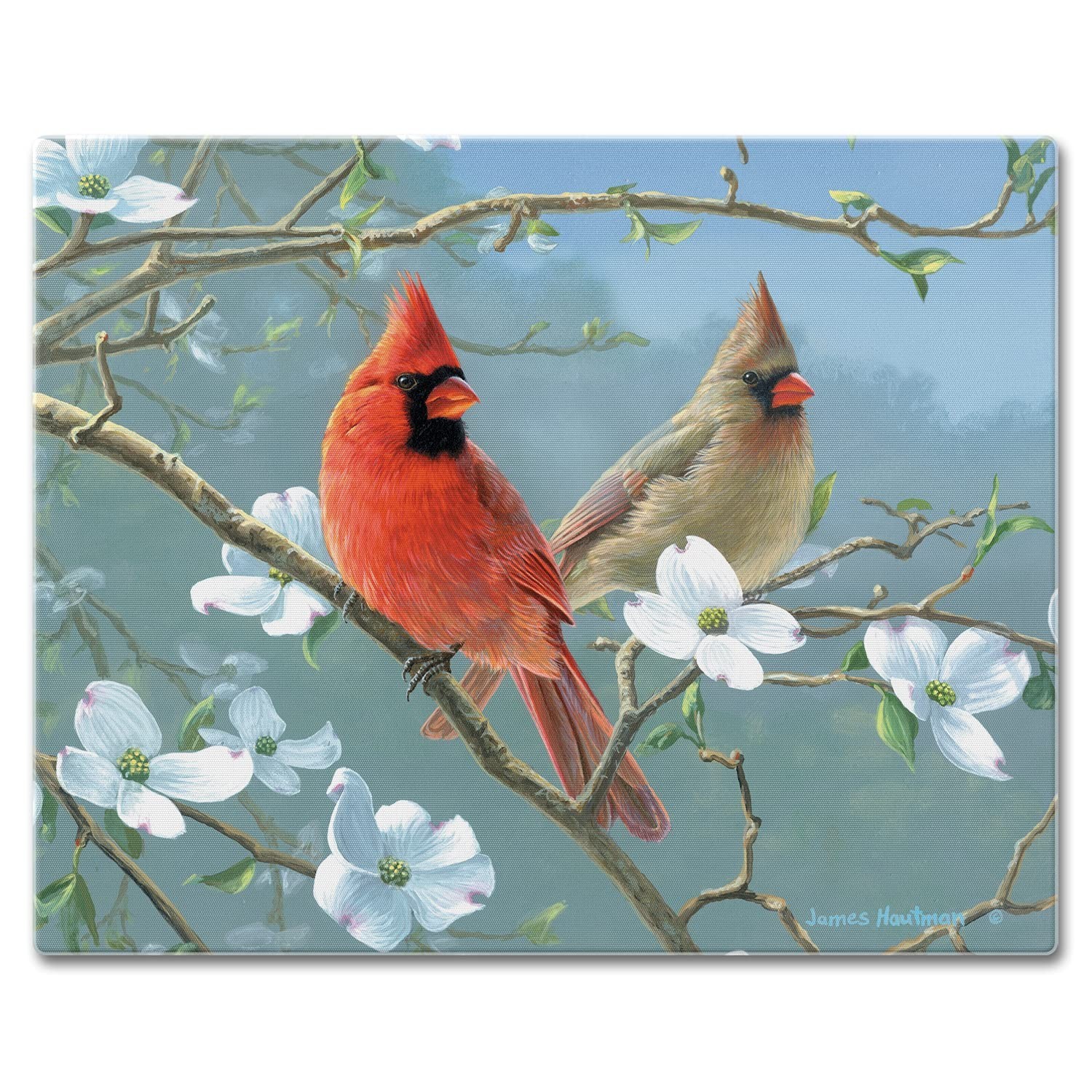 CounterArt Beautiful Songbirds Cardinal 3mm Tempered Glass Cutting Board 15̶