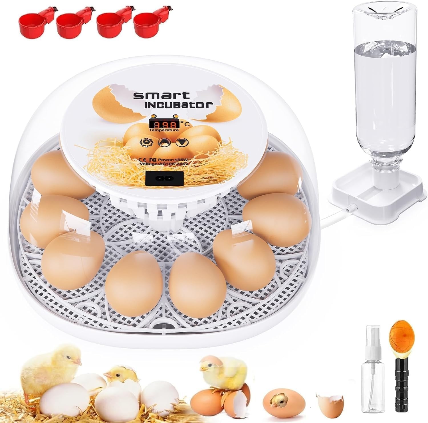 Automatic 12 egg incubator with temperature control function.