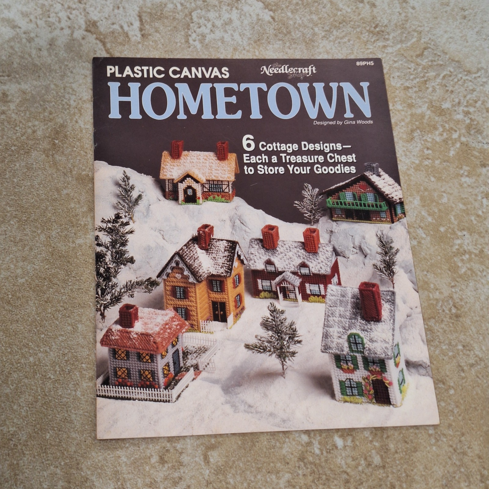 Vintage Needlecraft Shop Plastic Canvas Hometown Pattern Book Cottage Designs