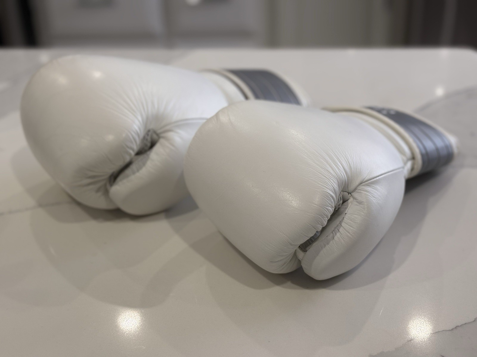 Fight Camp Boxing Gloves White Gray 12 oz 16 oz Premium Training Equipment