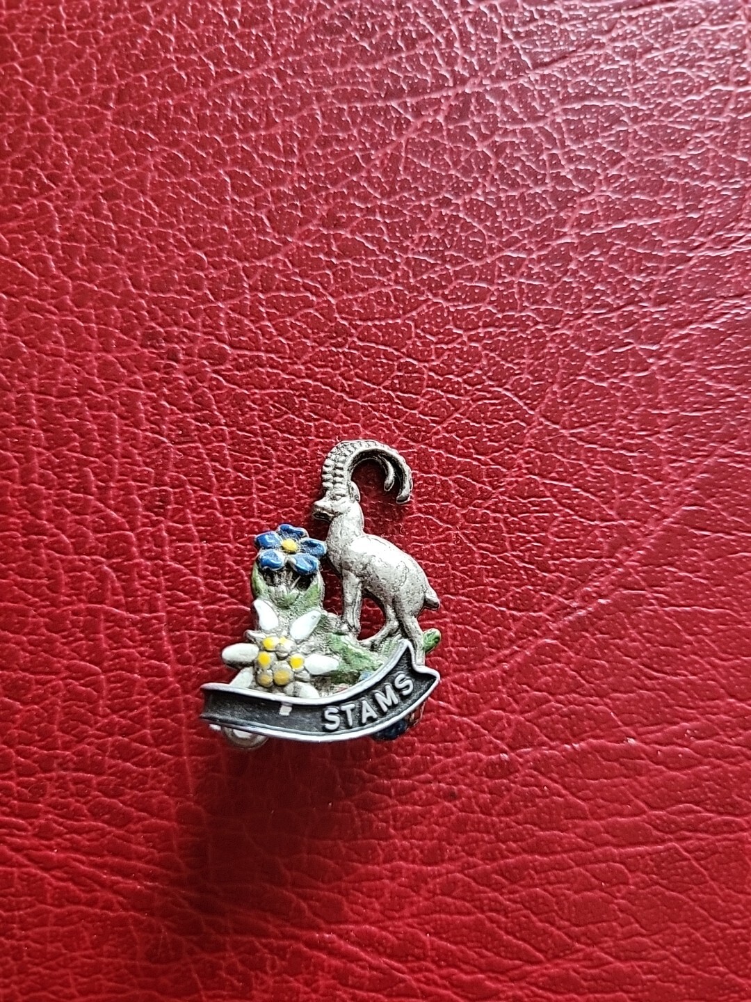 Pin Hatpin Hiking Pin Brooch Stams
