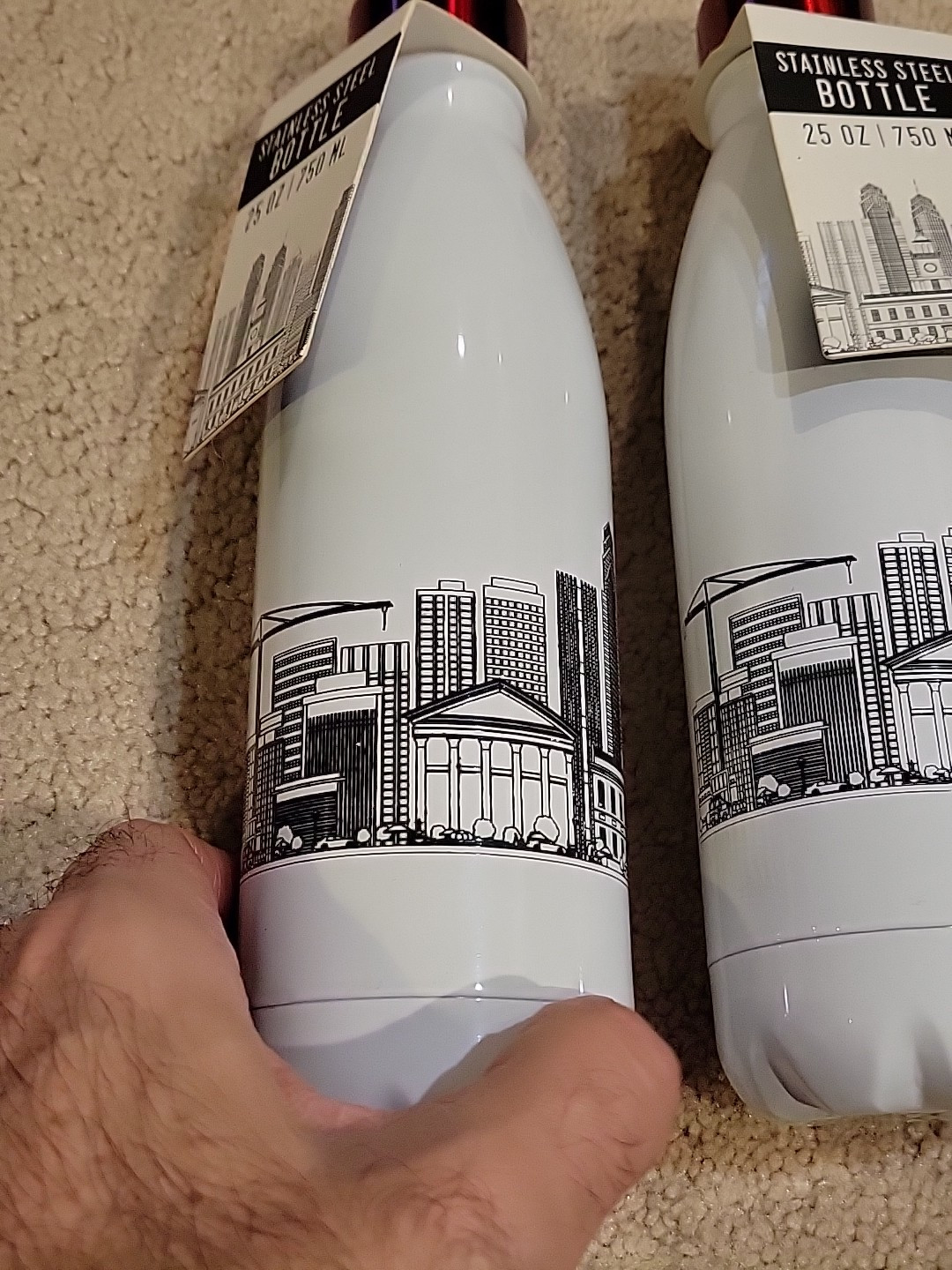 2 STAINLESS STEEL 25 OZ SKYLINE BOTTLES