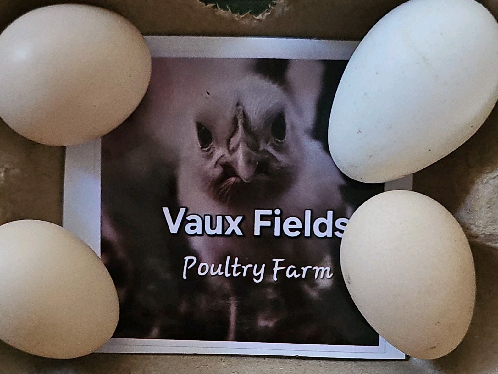 Vaux Fields Poultry Farm - 12 Assorted *Mystery* Hatching Eggs!