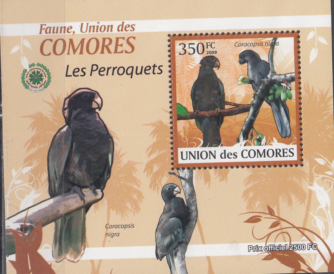 W COMORO Y2009 (22) (1) PARROTS