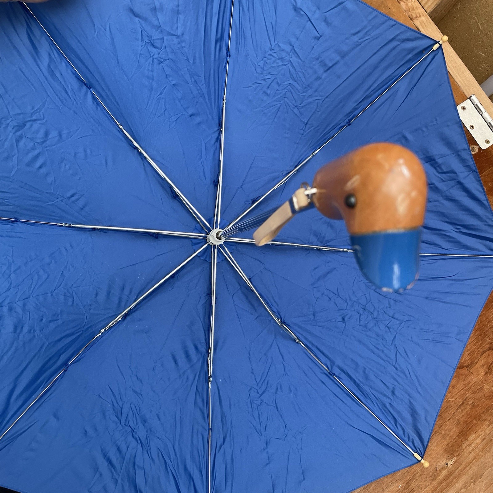 Duck head Umbrella Blue Kids