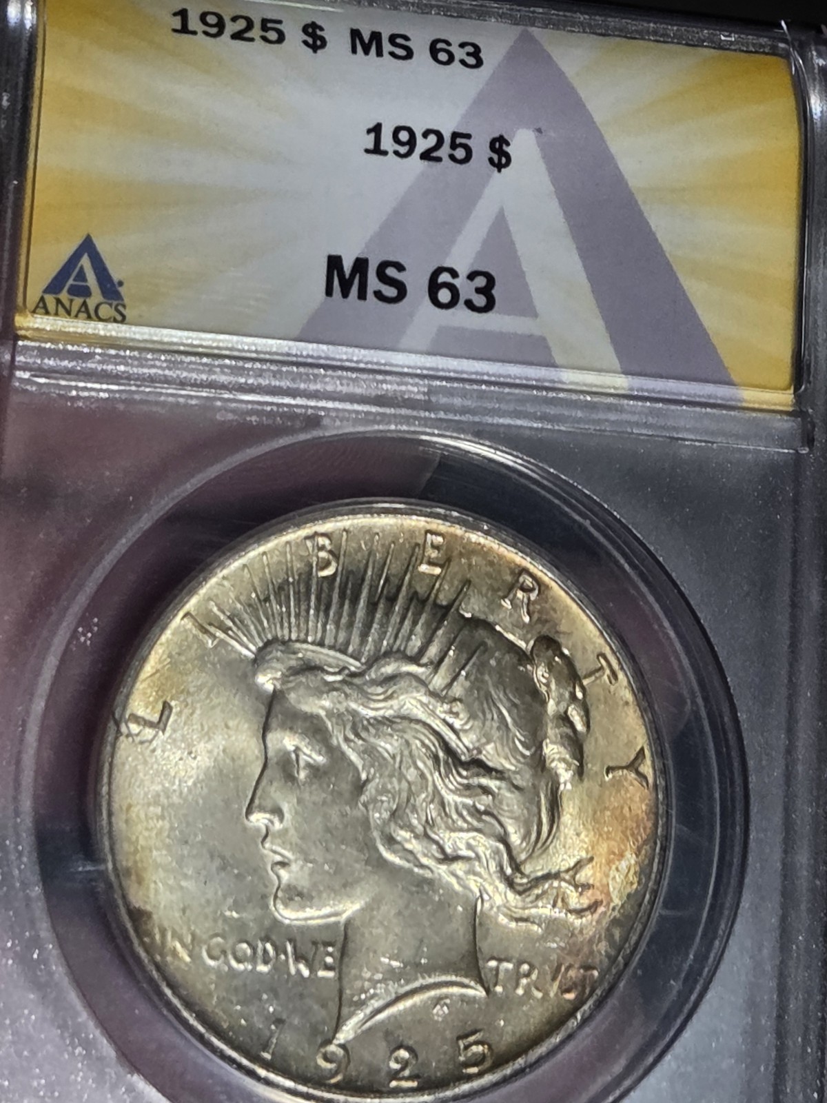 1925 $1 Peace Dollar ANACS MS63 Toned
