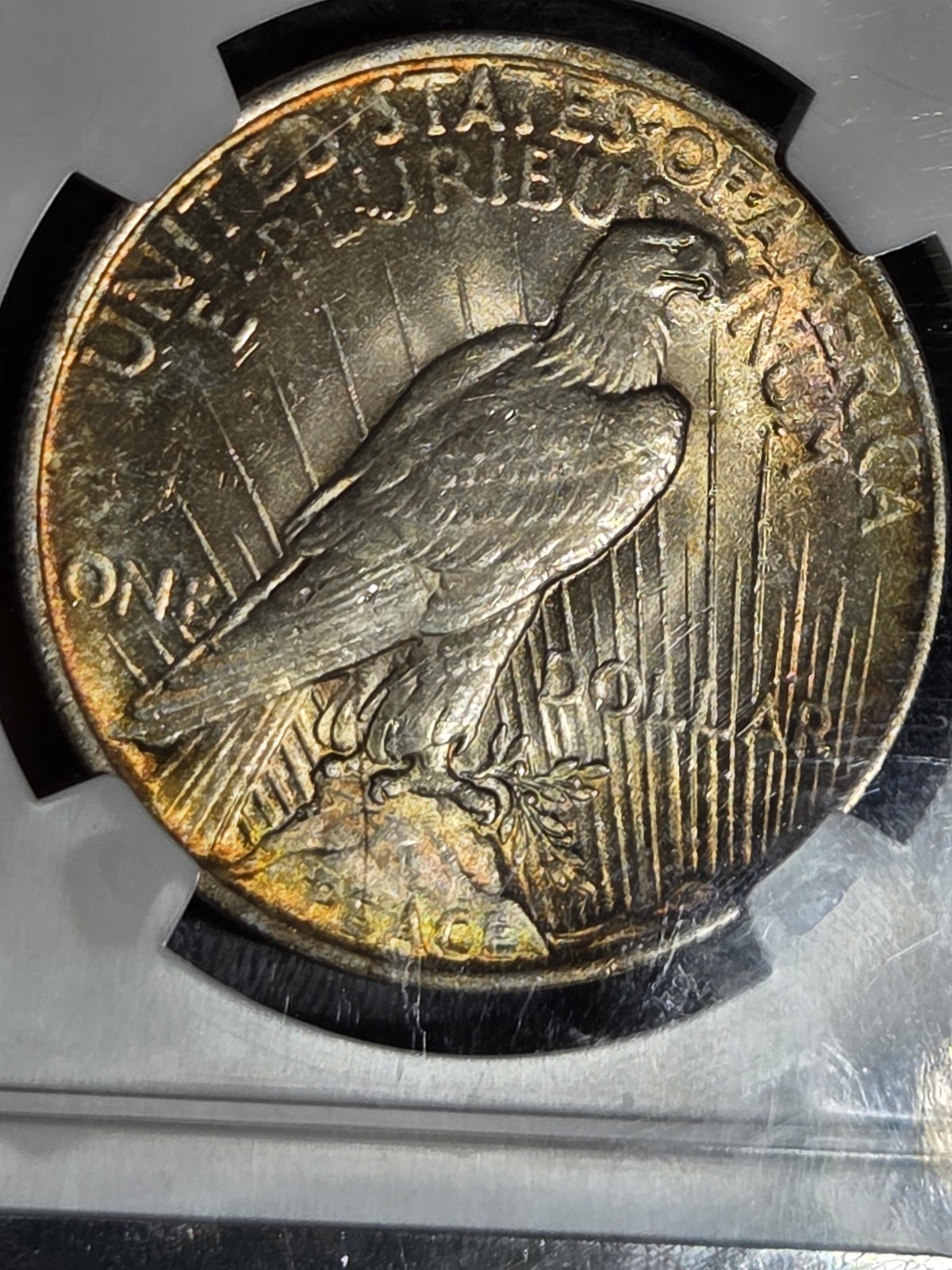 1923 $1 Peace Dollar NGC MS63 Toned