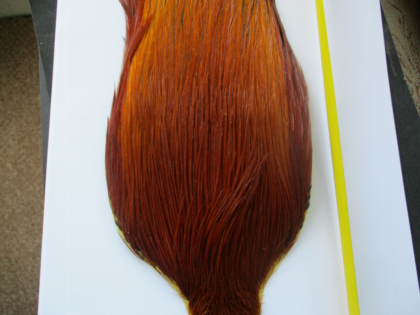 metz cock neck cape brown grade 2 full cape halve price 