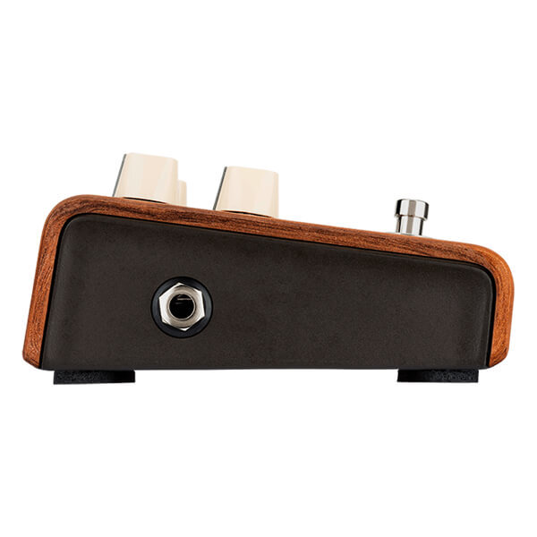 LR Baggs Align Series Reverb Guitar effect Pedal