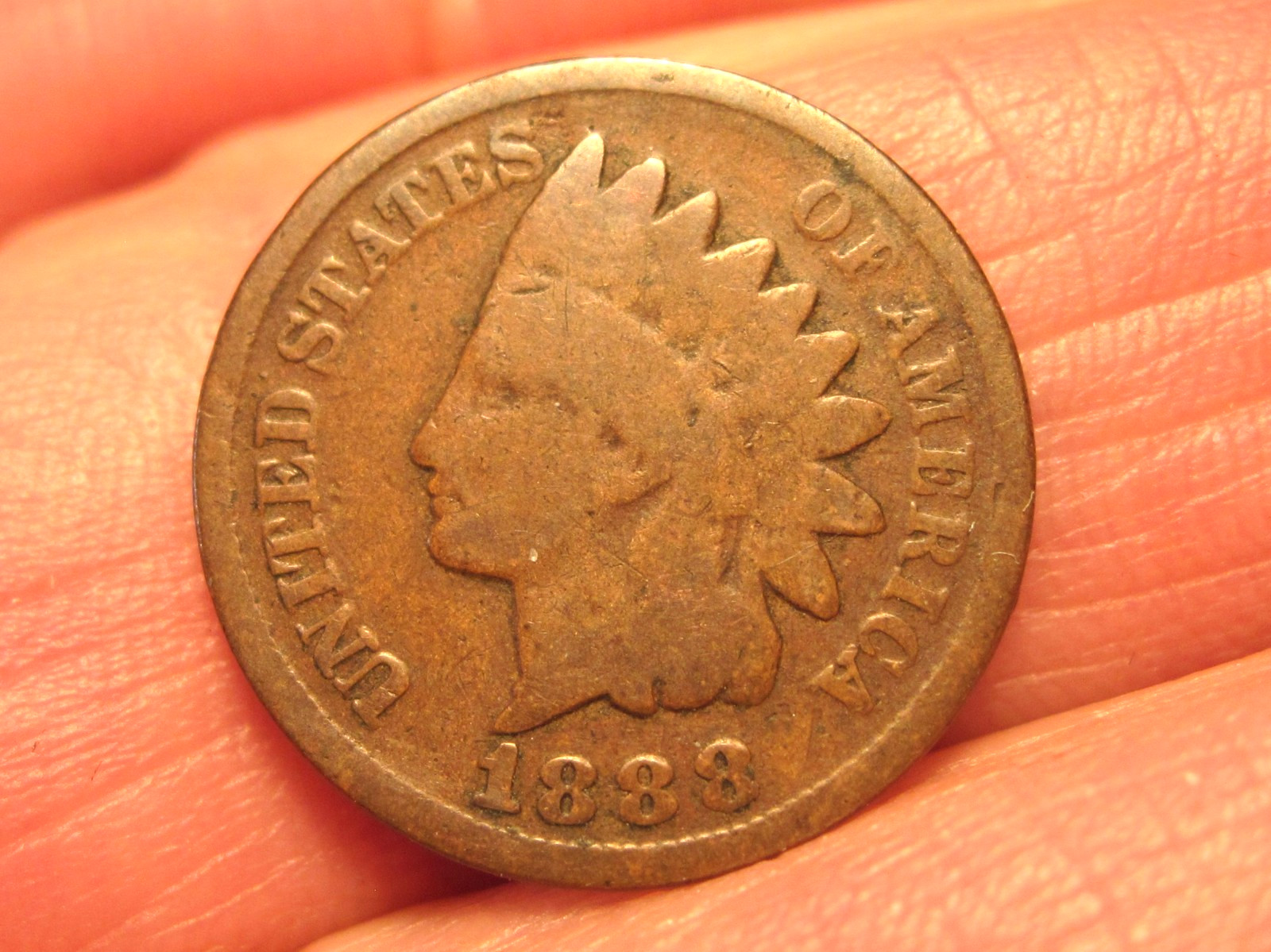 1888 INDIAN HEAD CENT/PENNY, FREE SHIPPING  (#914D)