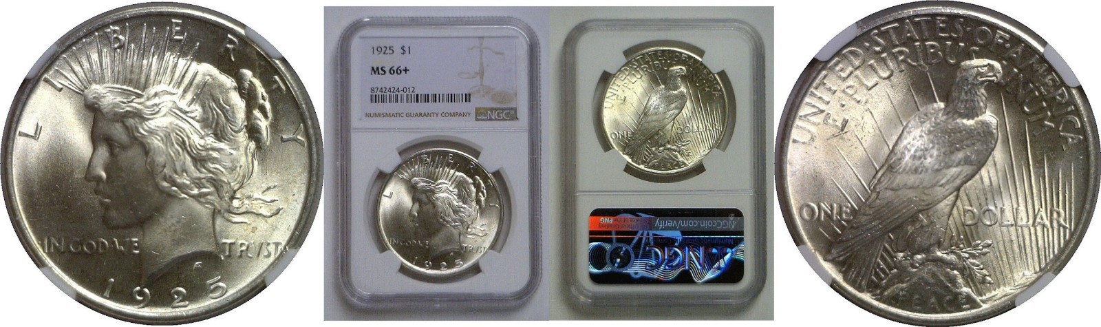 1925 Peace Dollar   NGC MS-66+
