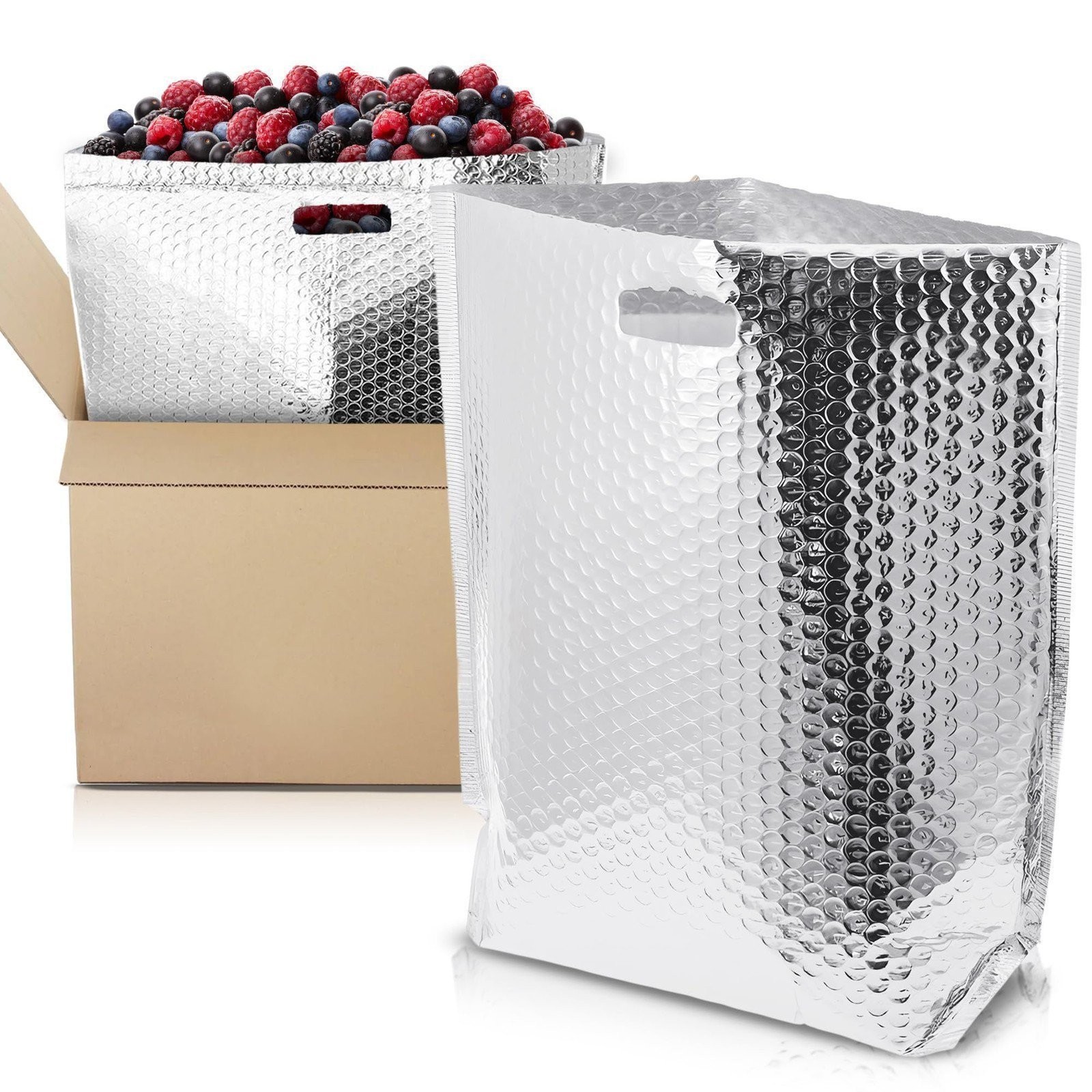 Insulated Foil Bags with Handles Thermal Box Liners 5 Count 11 x 8.5 x 5.5 in