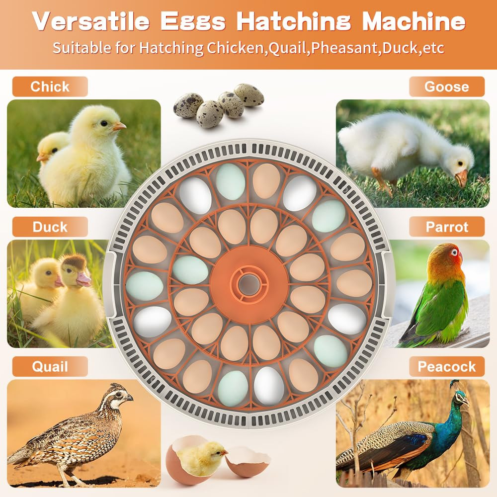 Incubators for Hatching Eggs，30 Egg Incubator,Egg Incubator with Automatic Egg T