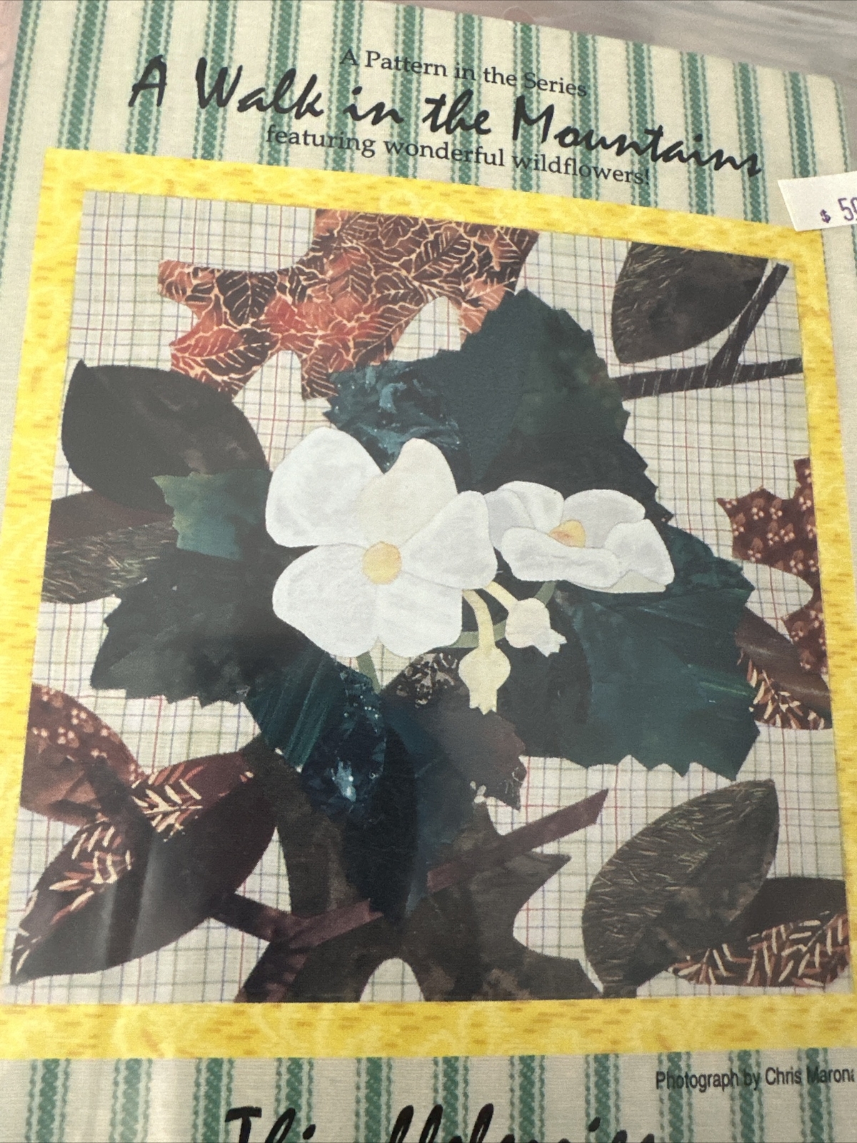 Piece O’Cake Design “A Walk in the Mountain” Thimbleberries Pattern Quilt