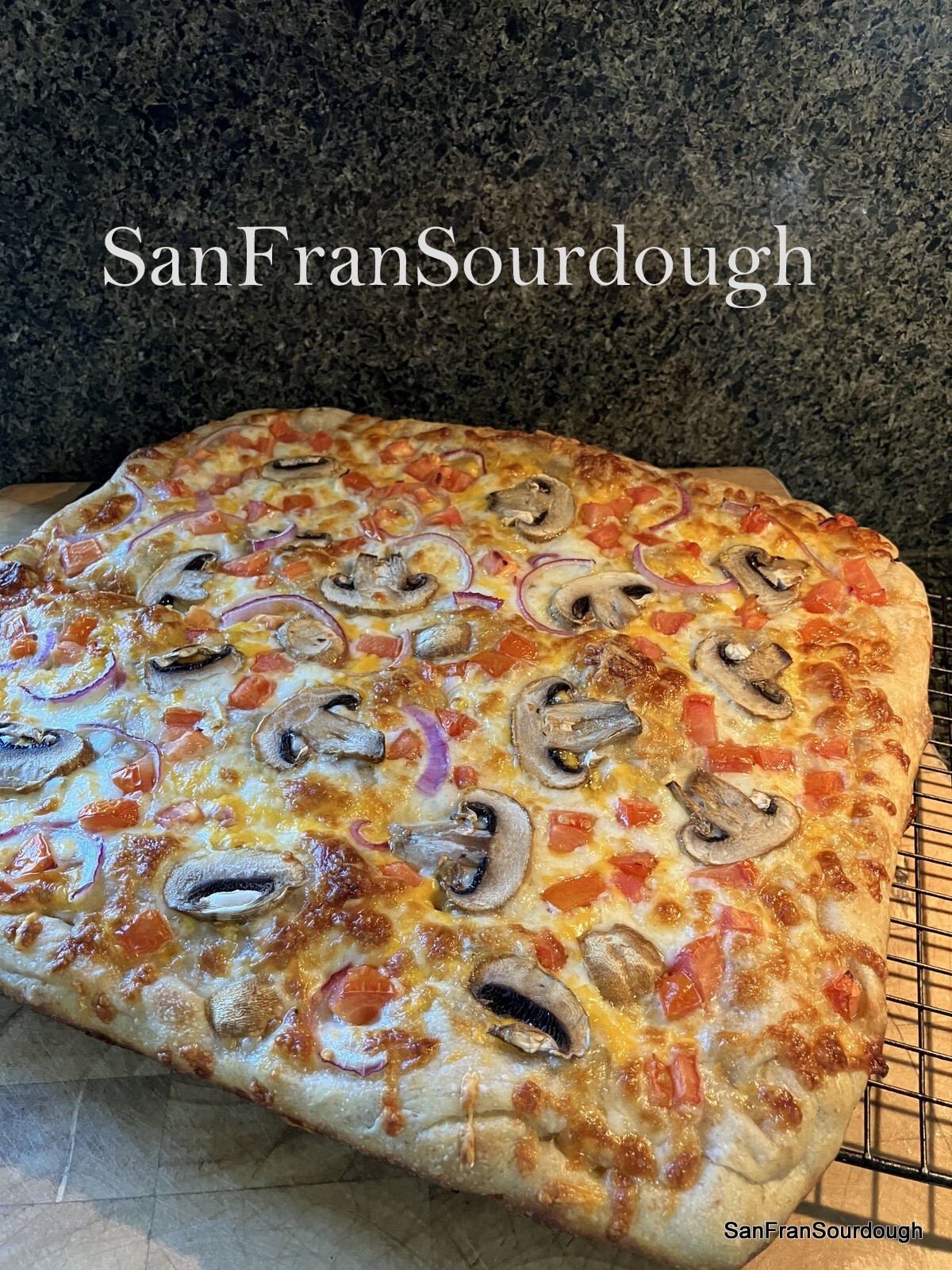 Active Dried Sourdough Starter San Francisco Yeast Bacteria baking bread