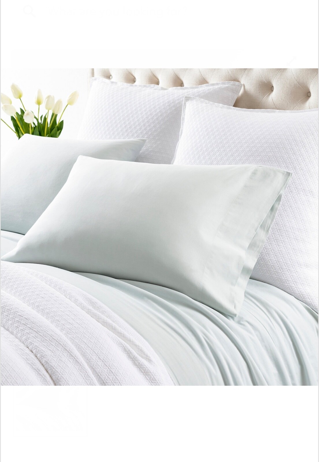 ANNIE SELKE Pine Cone Hill 2 Pillowcases COMFY COTTON SKY color King or Standard