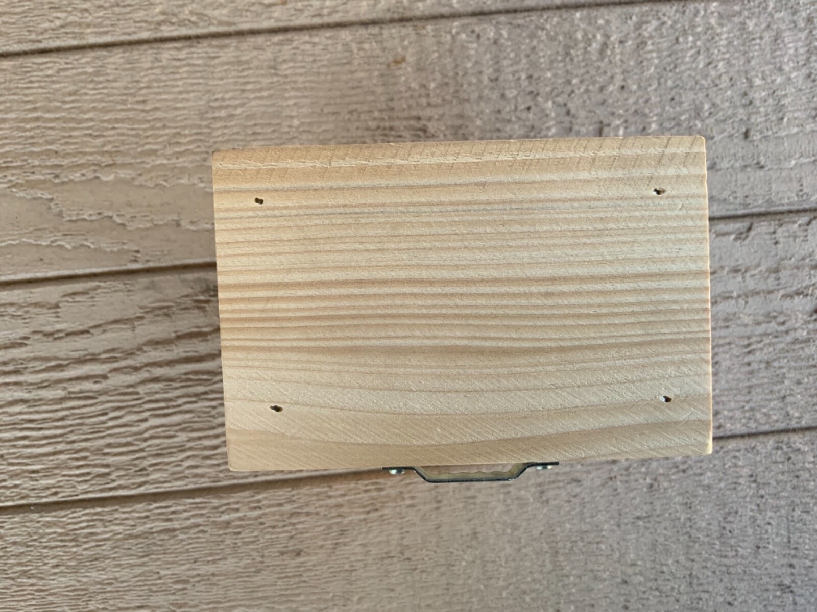 Bees N Things Outdoor Carpenter Bee Hanging Trap with 15 ft. Coverage