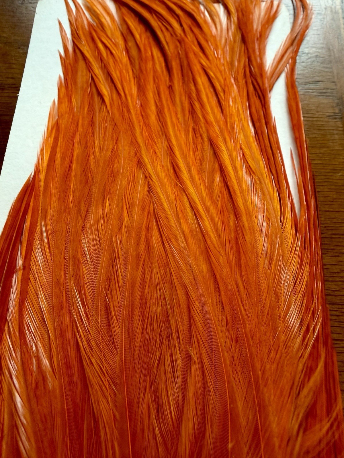 Whiting Farms Bugger Pack White Burnt Orange 345-SH-E-L