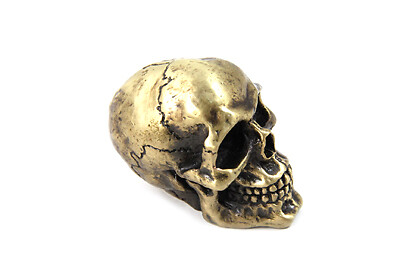 Universal Brass Skull Shift Knob For Jockey Shift or Custom Suicide Shifter Knob