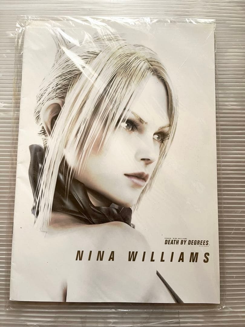 DEATH BY DEGREES TEKKEN NINA WILLIAMS w/Poster Art Book PS2 2005 From Japan