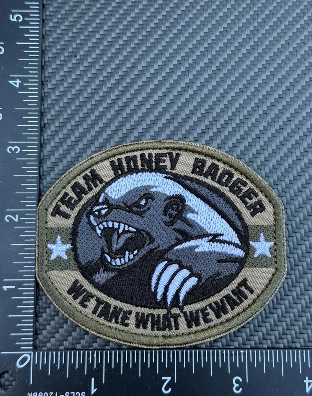 Honey Badger Team Take What We Want Tactical Military Hook Loop Patch Green