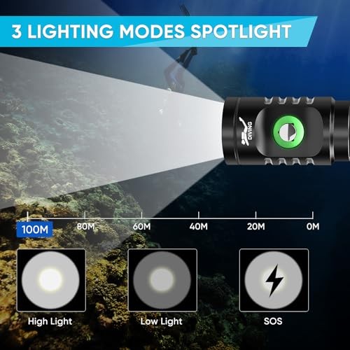 Dive Light Scuba Diving Flashlight Bright Underwater Flashlight | 3 Black-TS08