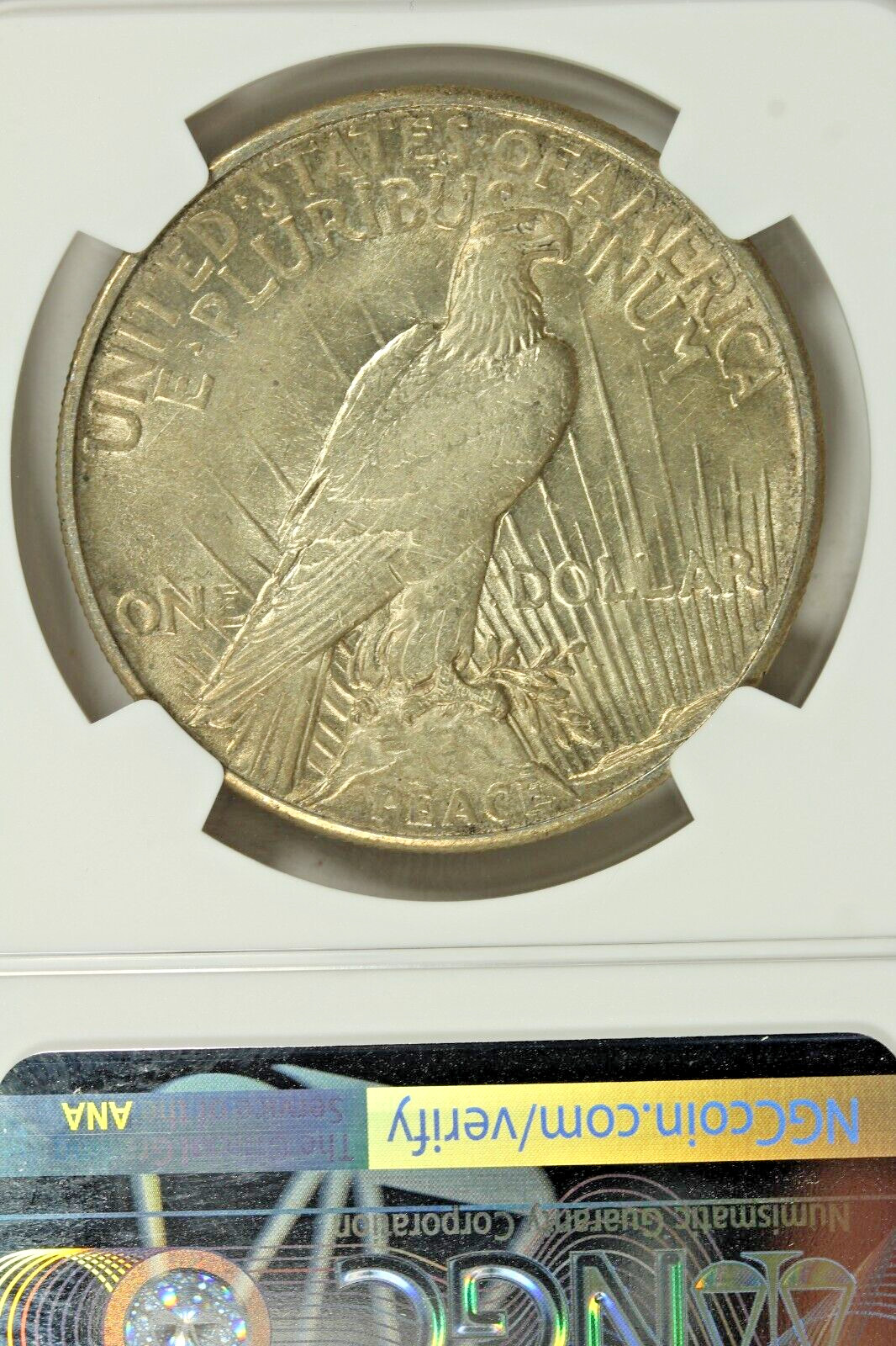 1921 High Relief Peace Dollar : NGC AU58