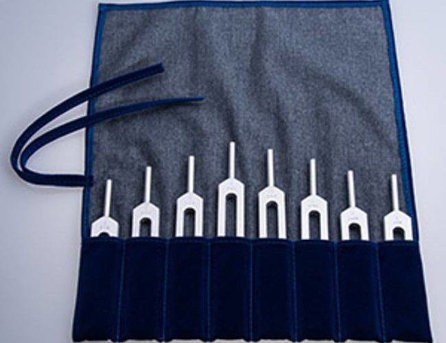 Healing Tuning Forks Harmonic Spectrum Set of 8. Pythagorean Scale in pouch
