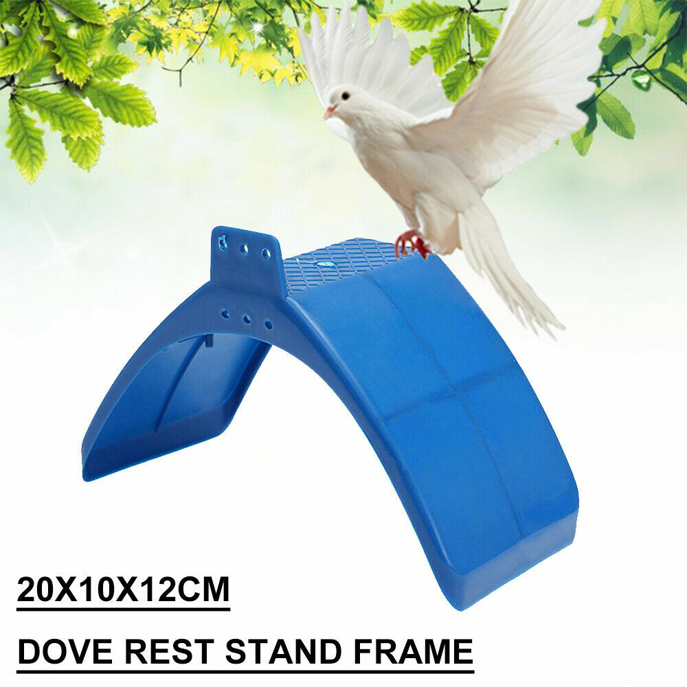 10PC Pigeon Dove Bird Rest Stand Frame Dwelling Perches Roost Bird Supplies Blue