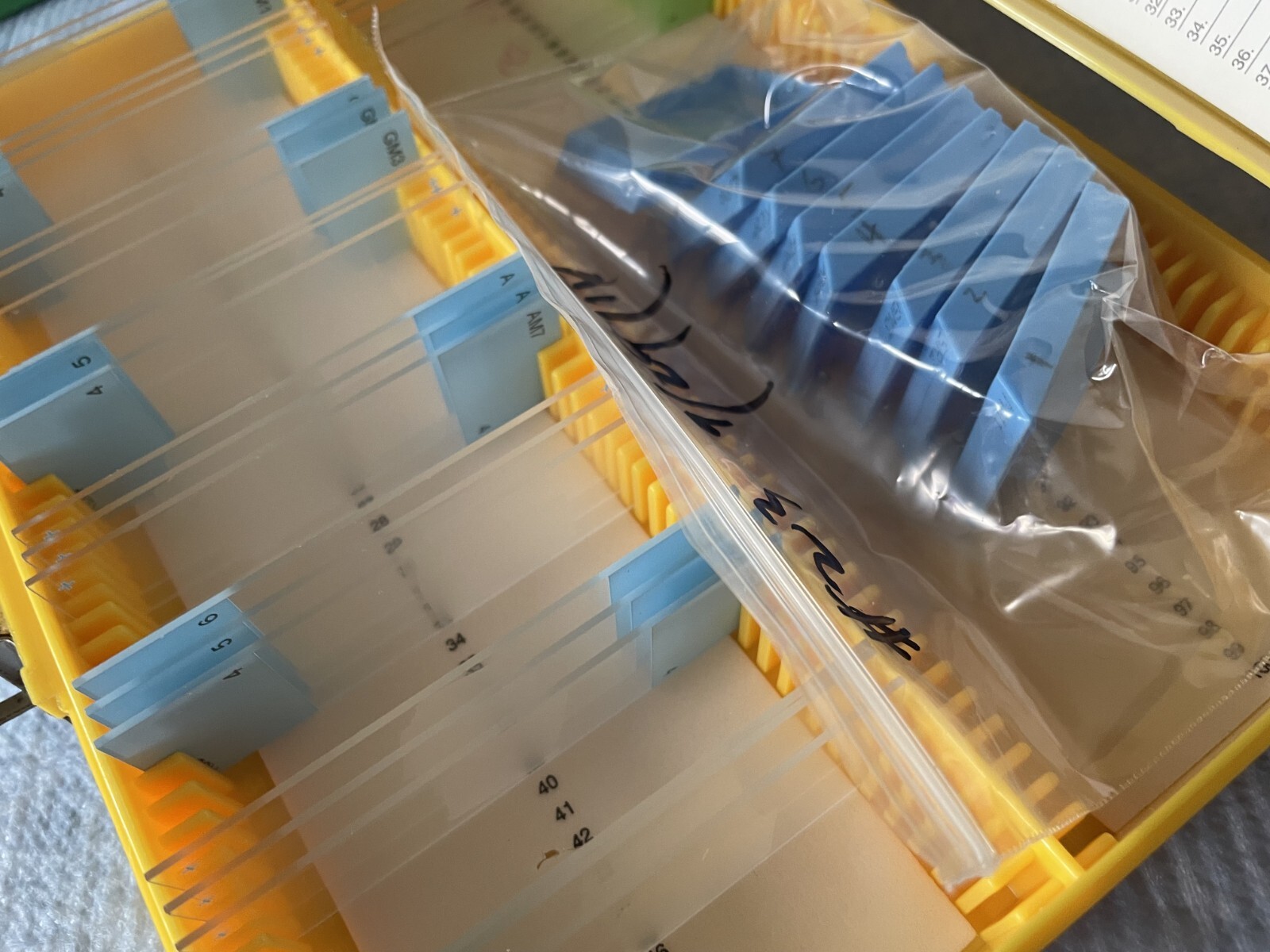 Four Microscope storage boxes with mouse tissues slides, 14,15,16,17