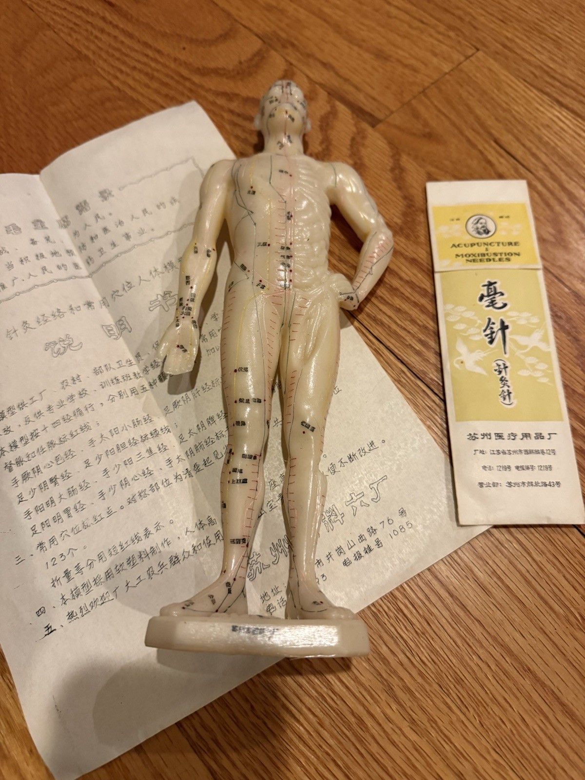 Vintage Soft MODEL of a HUMAN BODY Chinese Acupuncture Points W/Original Needles