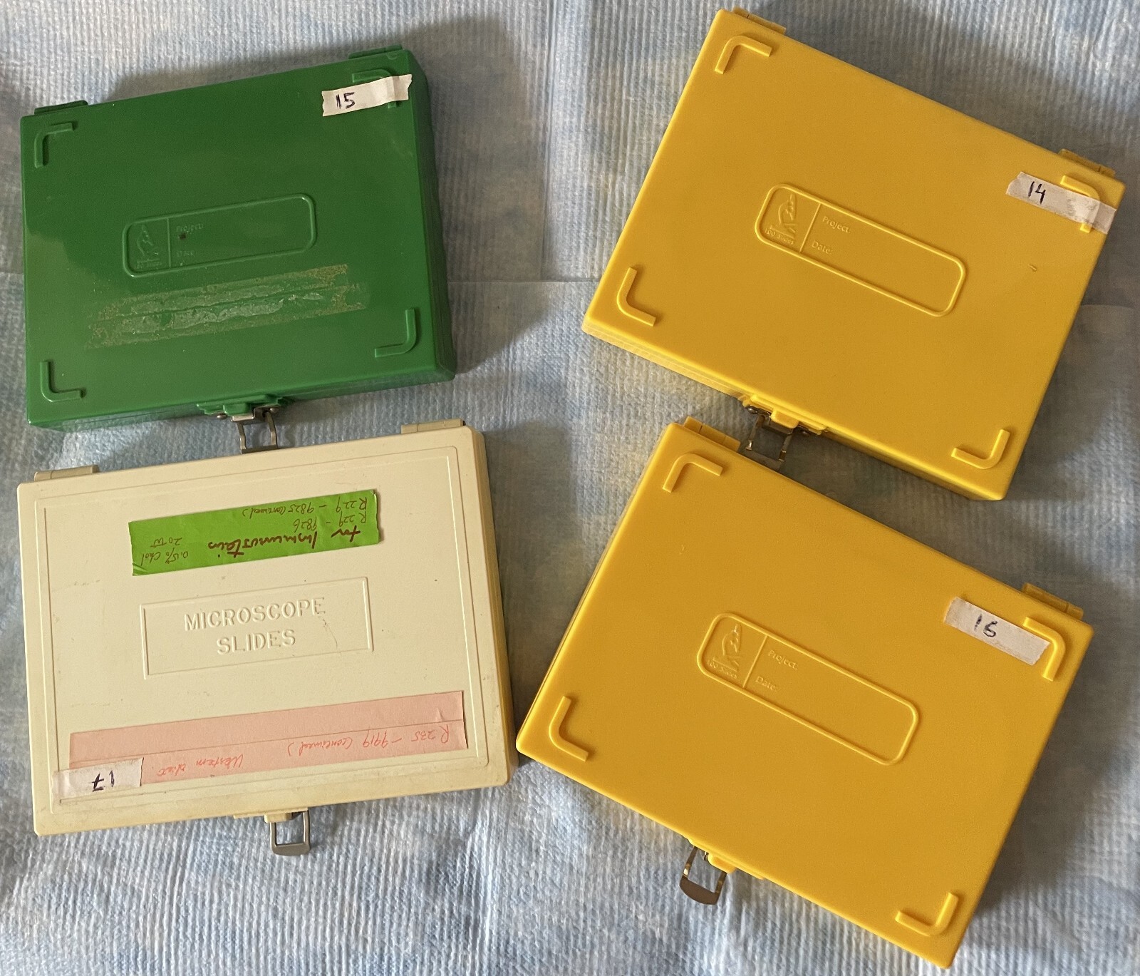 Four Microscope storage boxes with  mouse tissues slides, 14,15,16,17