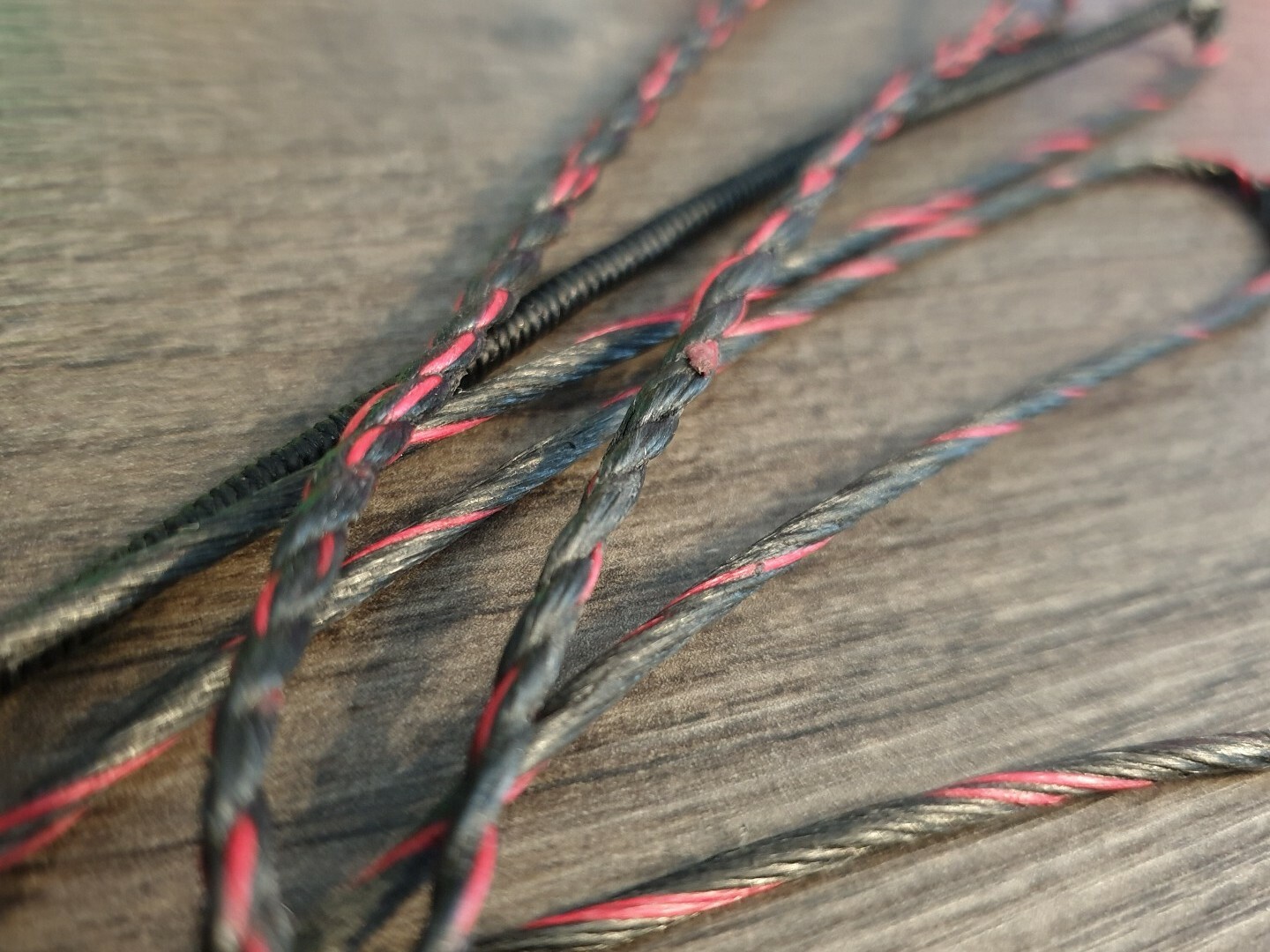 Bearpaw Breaker Fastflight Bow String.