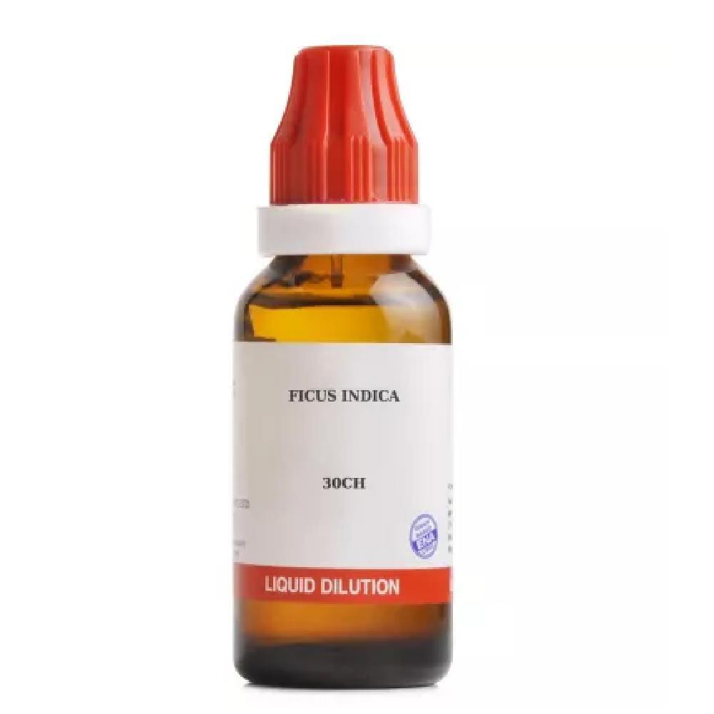 BJain Ficus Indica (30ml) (Select Potency)