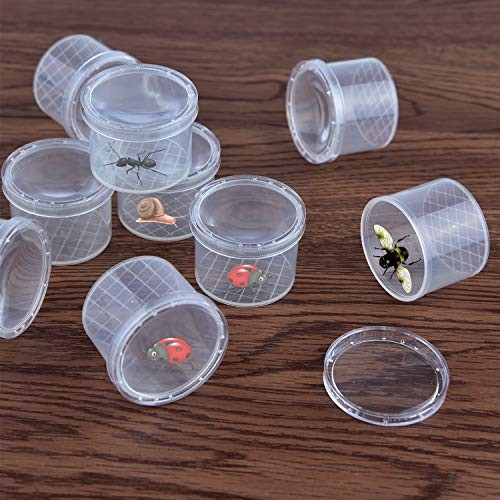 16 Pieces Bug Viewer Critter Insect Cage Magnifying Insect Box Bug 16 Pack