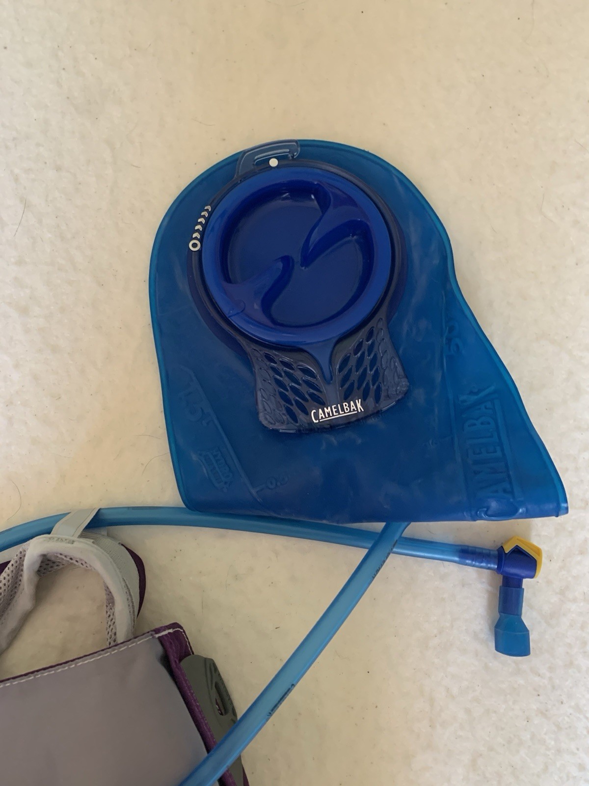 Camelback Charm Hydration Pack Purple